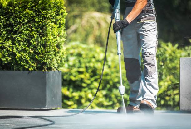 Best Boat and Dock Cleaning  in Rouse, CA