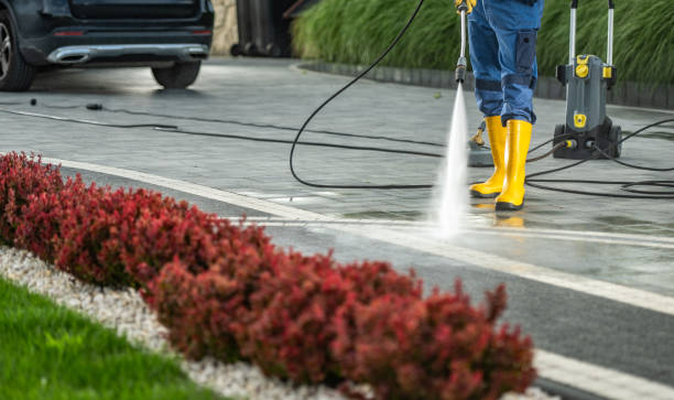 Best Solar Panel Cleaning  in Rouse, CA